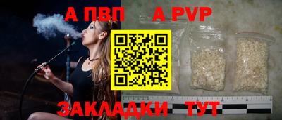 стафф Камышлов