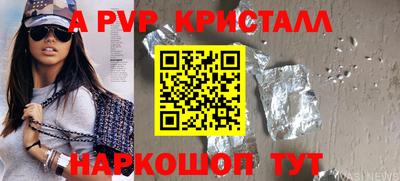 стафф Камышлов