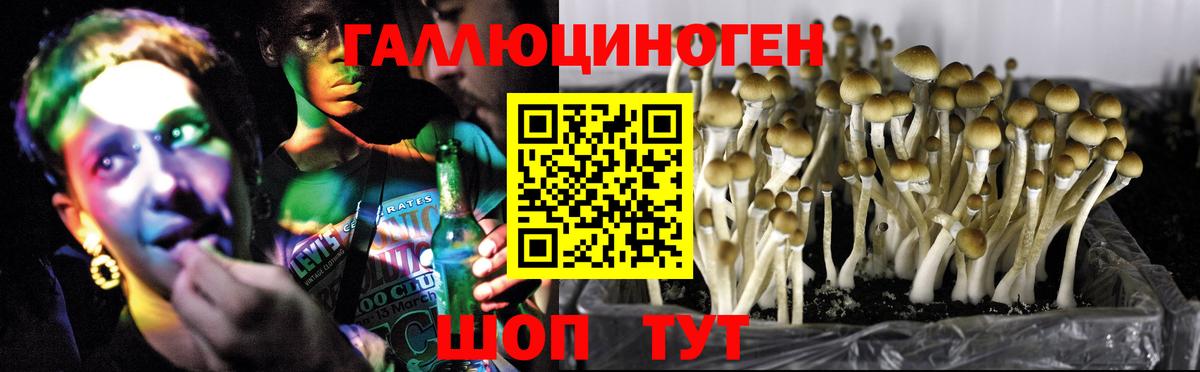 Галлюциногенные грибы ЛСД  Вход с VPN  Крымск 