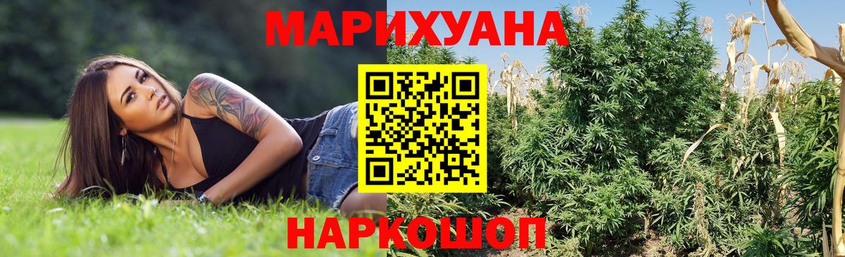 Конопля Крымск